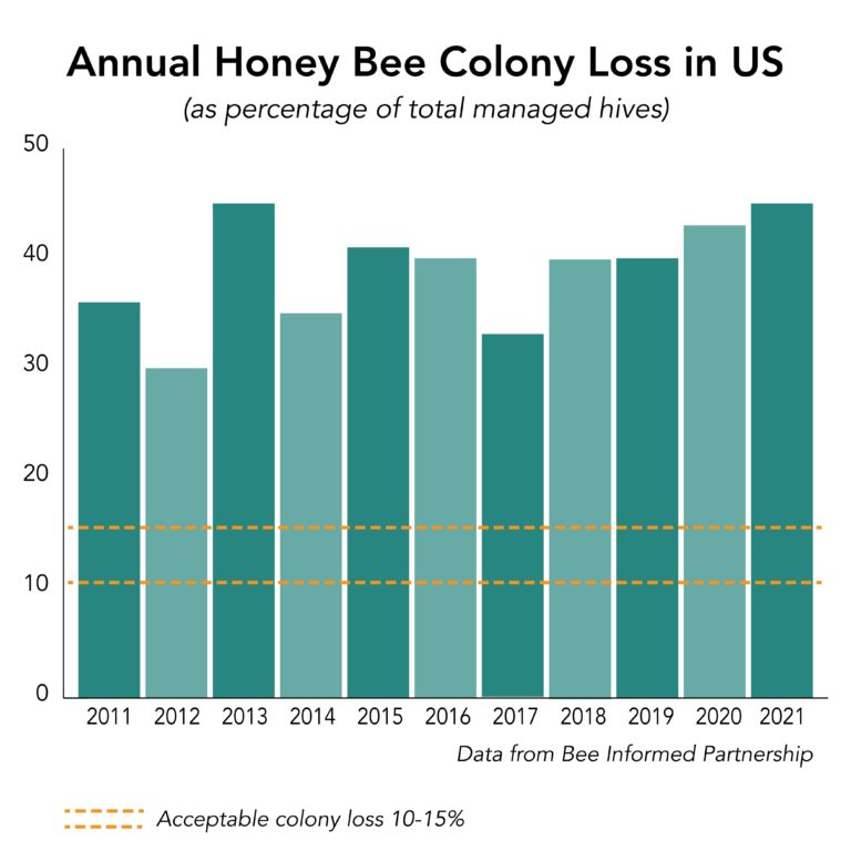 Why SAVE the BEE? Prevent Honey Bee Population Decline